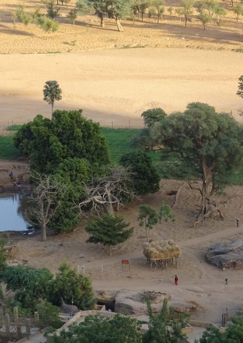 3 partners pays-dogon drie stichtingen worden één 4 Stichting Dogon Onderwijs Nederland heeft al een lange relatie met Mali, die startte toen architect-archeoloog Herman Haan in 1955 de Tellem