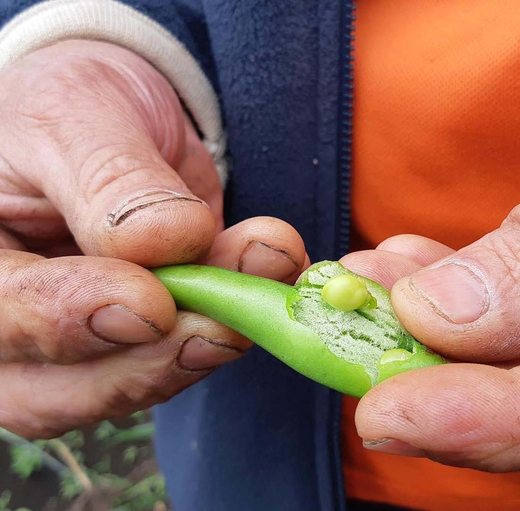 2 De top 10 voor de komende bestuursperiode: 1 Circulaire kansen voor Drenthe Investeer in de circulaire economie; innovatief, green tech en bio-based.