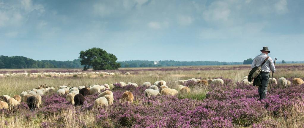 6 7 Behoud en ontwikkel de kwaliteit van het landschap van Drenthe Voer regie op ruimtelijke kwaliteit en identiteit 10 11 Het Drentse landschap met zijn erfgoed en rijke cultuurhistorie is van