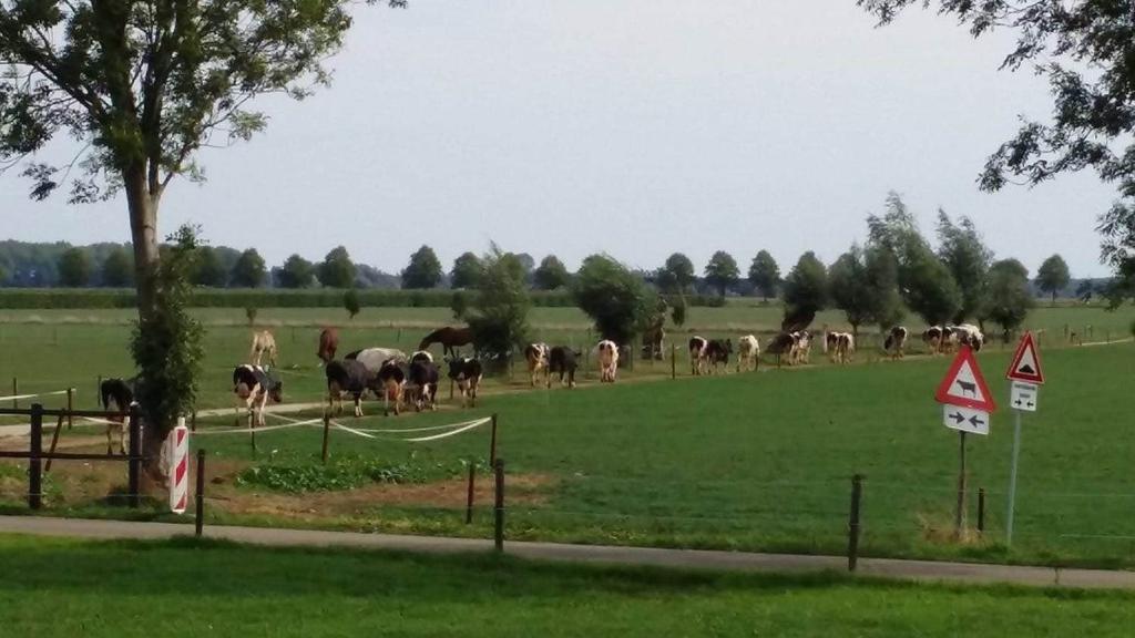 Marievonne en Paul wil graag andere boeren inspireren en adviseren. Veel mensen hebben het ons ontraden. Ze zeiden bijvoorbeeld dat de productie zou dalen en dat het aantal melkingen zou kelderen.