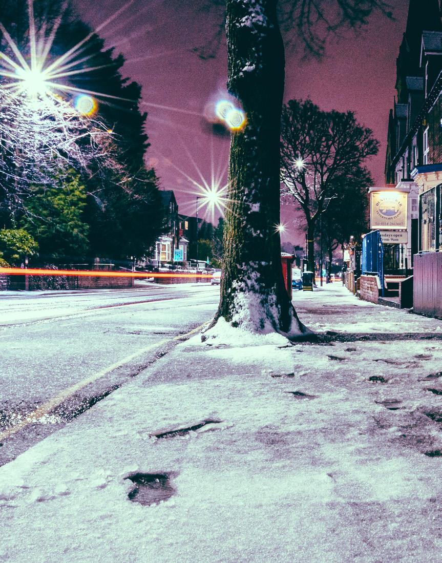 INZENDINGEN xxxxx De rubriek Inzendingen bestaat uit ingezonden stukken van medewerkers, vrijwilligers en bewoners van uw woonlocatie. De eerste maand van het jaar Januari is een bijzondere maand.