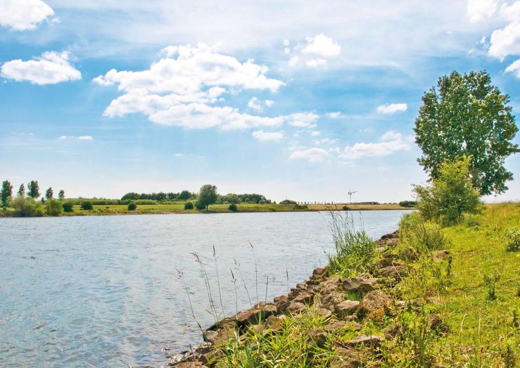 3 Op Ontwerp Haven en rivierverruimingsplan basis van de ruimtelijke gebiedsanalyse heeft Groenplanning een slagbedrijven.