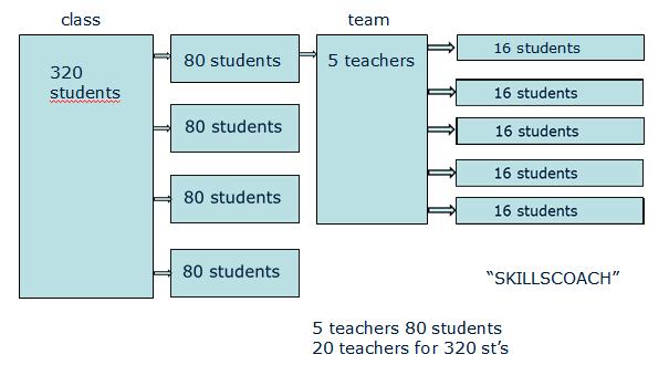 Organisatie Teams