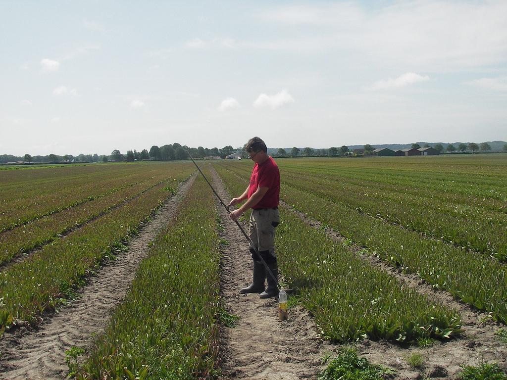 3.2 Bodem, reliëf en archeologie Op 4 juli 2013 zijn door De Steekproef bv de veldwerkzaamheden uitgevoerd.