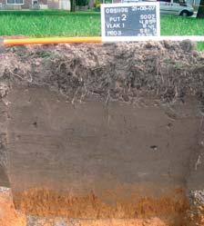 16 OSS BRABANTSTRAAT Het oorspronkelijke bodemprofiel in de vorm van een podzolbodem, is niet meer intact. De bodem is omgezet en opgenomen in een esdek (enkeerdgronden).
