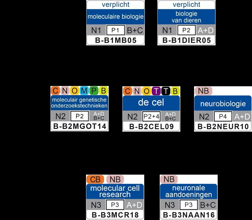 nl) Het studiepad moleculaire Neurobiologie kenmerkt zich door