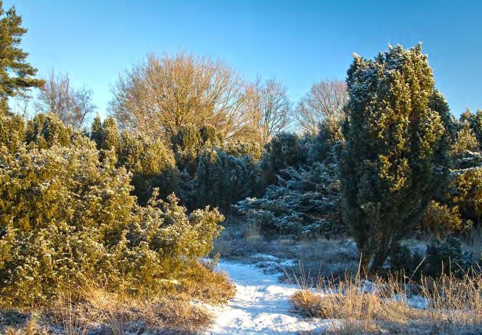 Een eindje om met Het Drentse Landschap Wandelroute De Palms bij