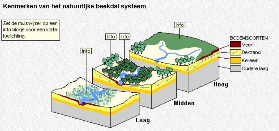 Waarden op regionale schaal - Landschappelijk symmetrisch beekdal, ruimte voor beek en beekdallandschap - Verbinding natuurwaarden van natte beekdalen in combinatie met droge flanken en essen -