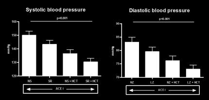 !!) Fraaie daling bloeddruk en eiwit-excretie urine dikke domme diabeet?