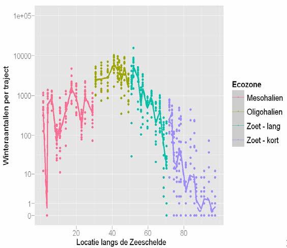 Hogere trofische niveaus Ruimtelijke modellen watervogels (zie poster): koppeling spatio-temporele abiotische data aan vogeltellingen langs de Zeeschelde Heeft