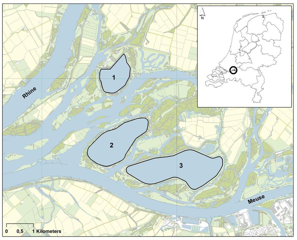 Opzet onderzoek Spaarbekkens Biesbosch Petrusplaat, Honderd-en-Dertig, De Gijster Diepe,