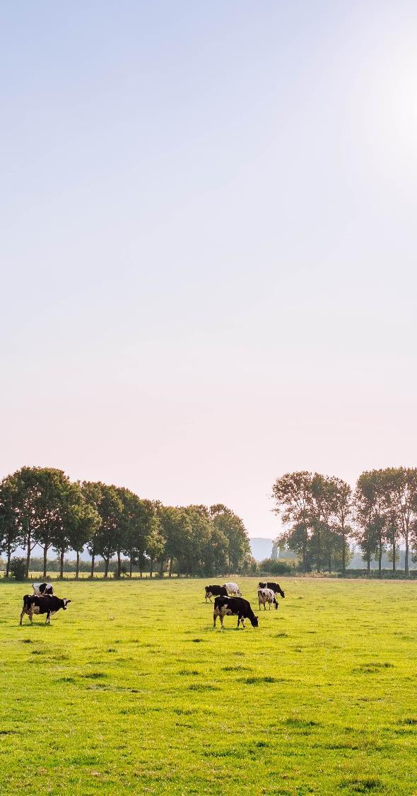 Proeftuinen Flevoland natuurinclusieve landbouw