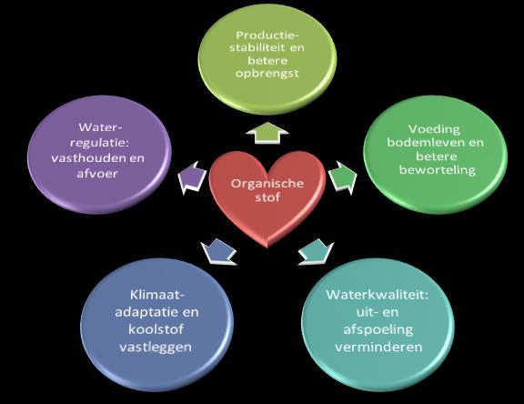 Bodem & Klimaat Starten van de samenwerking met de praktijk om duurzaam bodembeheer en klimaatvriendelijke landbouwmaatregelen handen en voeten te geven middels testen en demonsteren en telers te