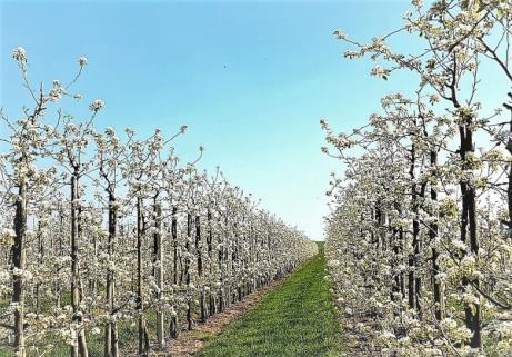 Wij ontvangen u graag in een sfeervolle ambiance, rijkelijk gevuld met verse en unieke bloemdecoraties. De gehele locatie is exclusief te reserveren, alleen voor u en uw gasten!