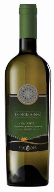 Maand Wijnen: Terrano Bianco Calabria I.G.T. Land van herkomst : Italië Regio : Calabria Producent : Cantine Spadafora Appellatie : I.G.T Wijnstokken : 20 jaar Aantaal flessen : 70.