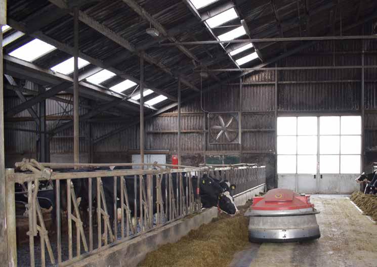 Farm facts Eigenaren: Gebr. Gijs en Hugo van Oostrum Aantal koeien: 165 Melkproductie: 10.800 KgM 4.43 V 3.