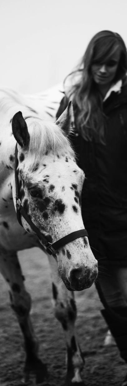 1. Horse Insights Je leest op dit moment de privacy verklaring van Horse Insights by Rhiannon.