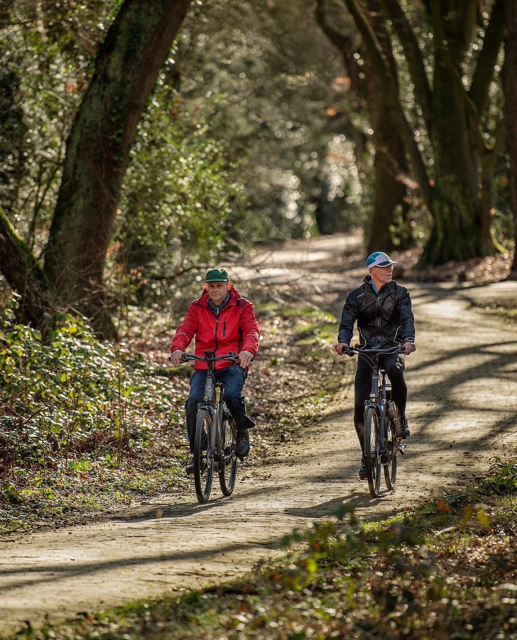 TestKees De Grote E-biketest 2019 De Grote E-biketest 2019 Elektrische fietsen met een middenmotor en een