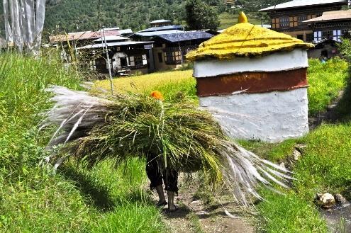 Ook kun je kiezen voor een mooie trektocht over het platteland van Bhutan. Bespreek met je gids hoe lang je wilt wandelen.