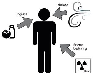 Effectieve volgdosis De effectieve (volg)dosis is een handige maat om de schadelijkheid van blootstelling aan welk type straling dan ook in uit te drukken, ongeacht langs welk pad de blootstelling