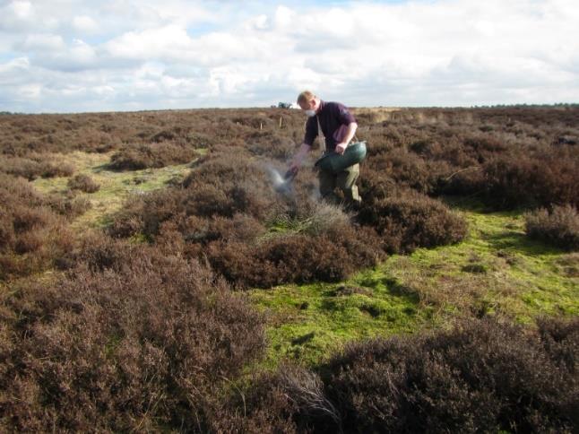 . Photo S.2. Rock powder application on the wet heath in the NP de Hoge Veluwe (top photo s), on the dry heath in the NP de Hoge Veluwe (bottom left) and on the dry heath in Strabrecht (bottom right).