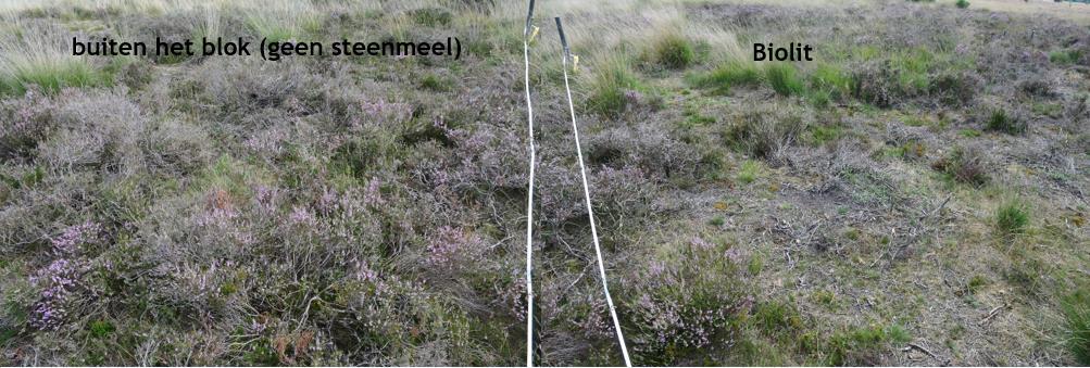 heather material collected in the wet heath in the NP de Hoge Veluwe therefore resulted in a decrease in the N/P-ratio (from 22.7 in the control to 17.6 in the test plots treated with Biolit).