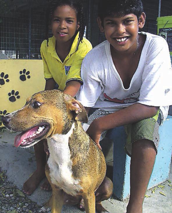 Ze laten ze aan hun lot over, laten ze inslapen, of staan ze af aan het asiel. Een bijzonder hondje Maar tussen al die dieren zit altijd wel een speciaal geval.