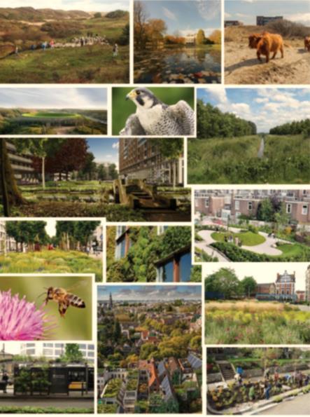 Green Infrastructure Green Spaces in