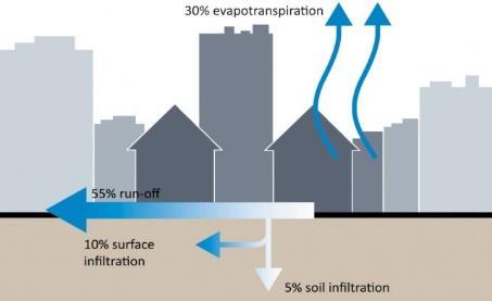 Implementing green infrastructure may contribute to reduce future