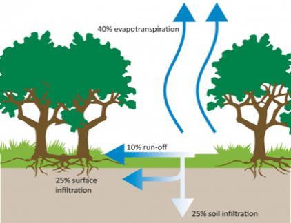 So we should account for the value of green infrastructure when