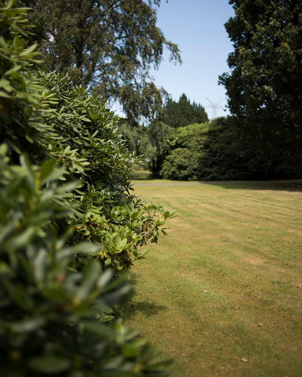 INLEIDING Ondernemen op een historische locatie met het comfort van nu, in een oase van groen. Domein Zuiderbosch is één van de best bewaarde geheimen van s-hertogenbosch.