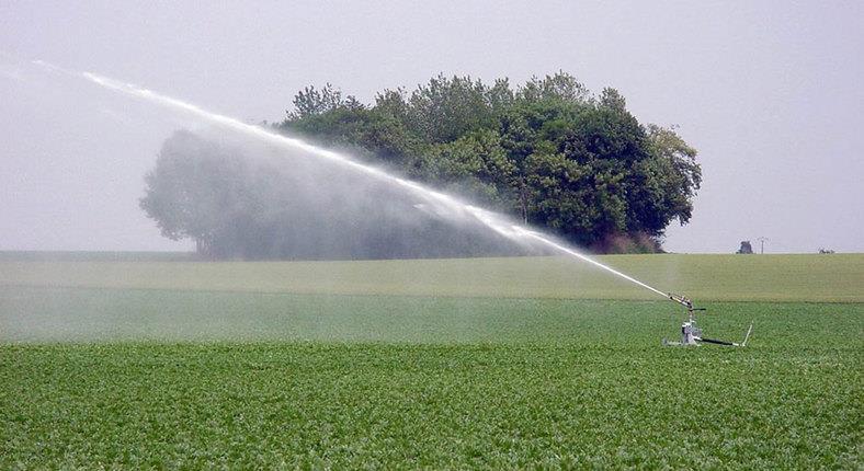 Waterbeschikbaarheid - andere Onderzoek en advisering efficiënte irrigatie