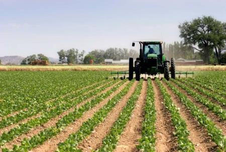 Watervoorziening Eigen watervoorziening landbouwers Structurele voorraad MOET door landbouwers zelf voorzien worden Meestal open putten Verbinding