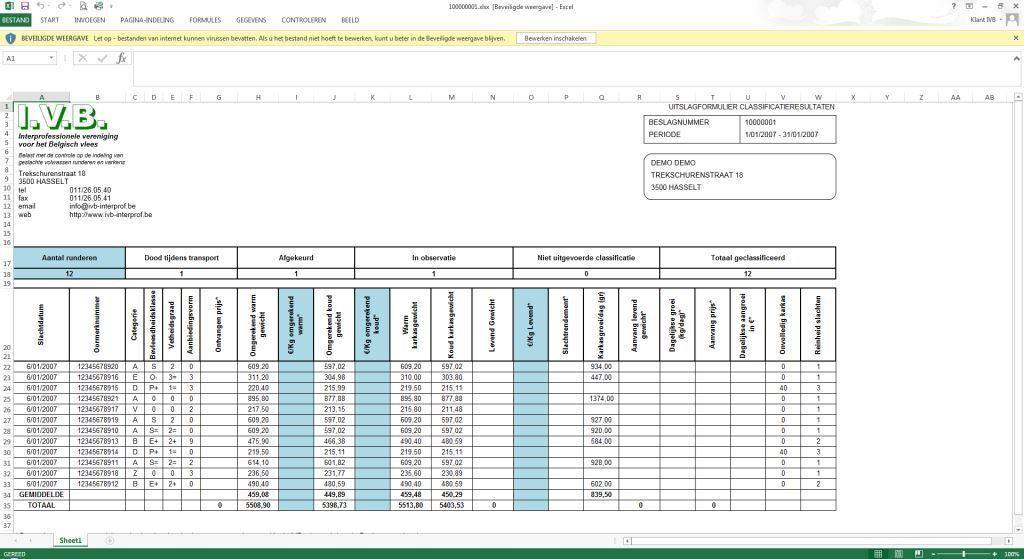 In Excel kan het rapport bew erkt w orden