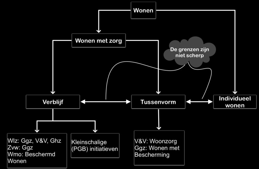 Het kan ook een tussenvorm zijn: we onderscheiden hierbij Woonzorg in de ouderenzorg, en Wonen met Bescherming in de Ggz.