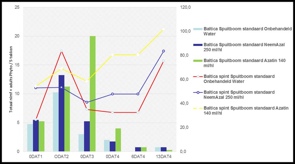 Resultaten: Verhouding