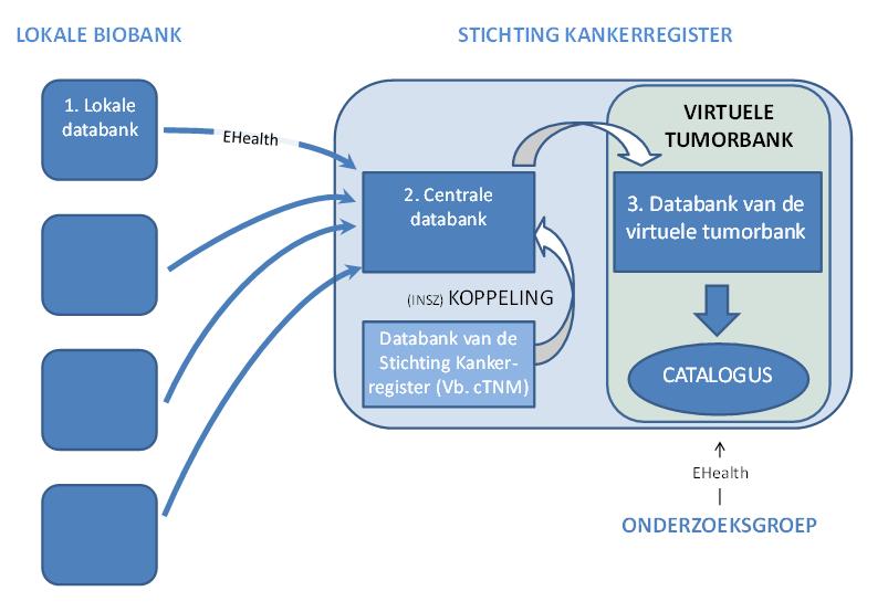 4 a) Oprichting van de virtuele tumorbank 9.