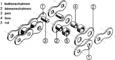 Voor het overbrengen van grote krachten worden rollenkettingen gebruikt die twee- of driedubbel zijn uitgevoerd. Figuur 6: Rollenetting (Wikipedia 2015) Voordelen ketting: - Er treedt geen slip op.