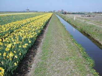 houden met vegetatie wordt afspoeling nog verder tegengegaan. De akkerranden worden niet bemest en bespoten.