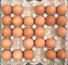 Opdracht 6c. Hoeveel eieren zitten er in de doos als hij vol is? Bedoeling Onderzoeken of de leerling gebruik maakt van de (vijf)structuur van de eierdoos bij het oplossen van de opdracht.