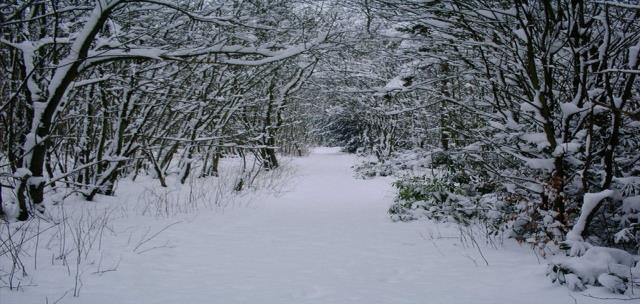 Tussen Kerst en Nieuwjaar werden wij aangenaam verrast door een mooi pak sneeuw! De vakantie op de BSO was al leuk, maar met de sneeuw werd het nog gezelliger!