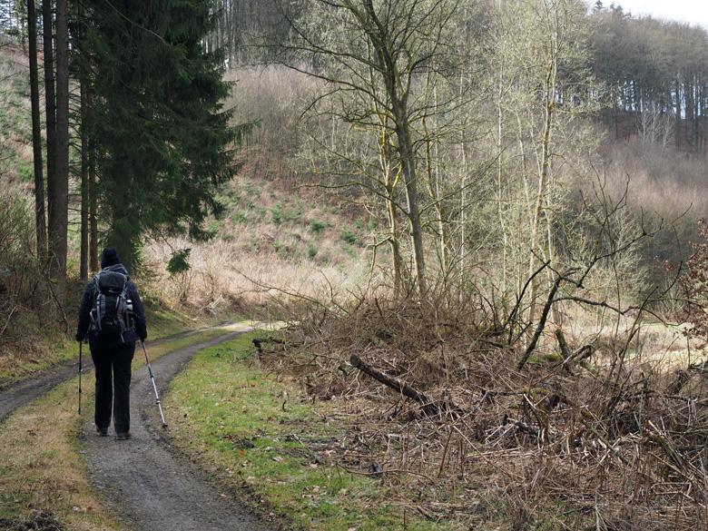 achter gaat het tamelijk steil omlaag en andermaal worden we verrast met een mooi uitzicht over de omgeving. Hier slaan we scherp linksaf en na enkele meters weer rechtsaf.