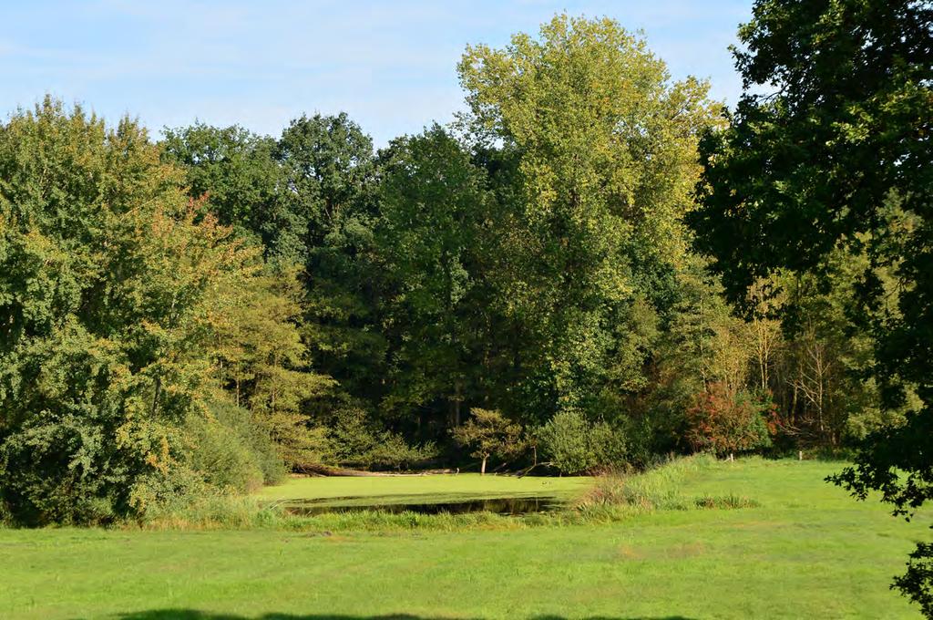 dijkdoorbraken die hebben plaatsgevonden. De beekjes die door de uiterwaard lopen zorgen al eeuwen lang voor de afvoer van het water vanaf de oostelijke flank van de Veluwe naar de IJssel.