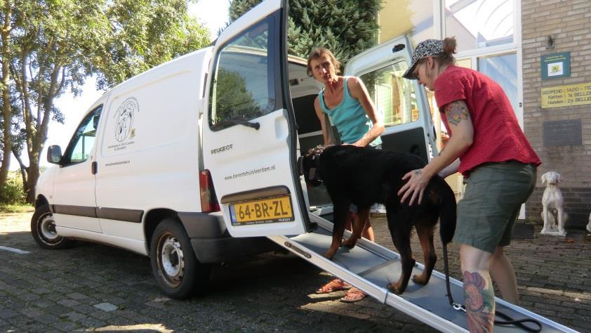 Jaarverslag 2017 Het is weer tijd om terug te kijken naar het jaar 2017, wat is er gebeurd, wat speelt er en hoe gaat het met het Dierentehuis Leerdam?