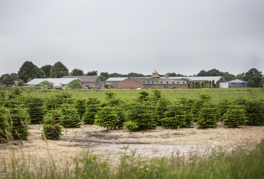 Samenvatting Op verzoek van de staatsecretaris van Infrastructuur en Waterstaat heeft de Commissie geurhinder veehouderijen onderzoek gedaan naar de mogelijkheden om geurhinder voor omwonenden in de