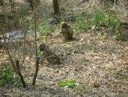 Afrika maar ook in St. Lucia en Swaziland waar we twee nachten zijn gebleven.