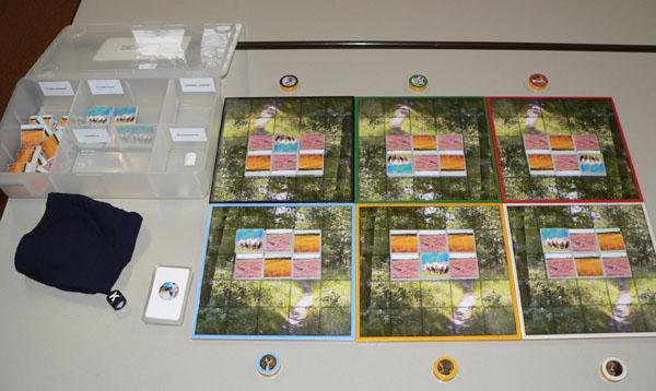 De spelers leggen hun spelborden tegen elkaar zodat één groot spelbord ontstaat: een groot stuk bos met daarin kleine heidevelden die gedeeltelijk vergrast zijn.