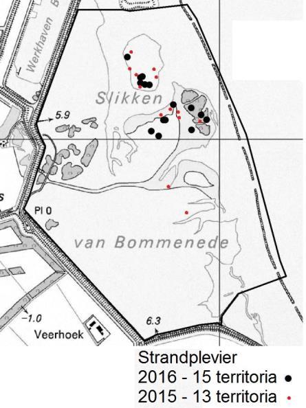 Broedvogels Grevelingen 2016 Tabel 5. Aantal territoria BMP-plot Bommenede (80 ha) 2000-2016, voor de periode 2000-2013 is het hoogste aantal per 2 jaar genoteerd.