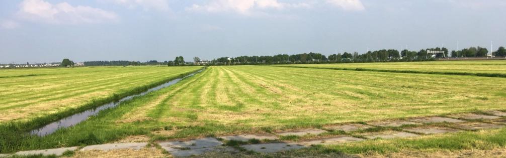 Laatste decennia Inzaai van 1 soort (Engels raaigras), soms met wat klaver en enkele andere grassoort.