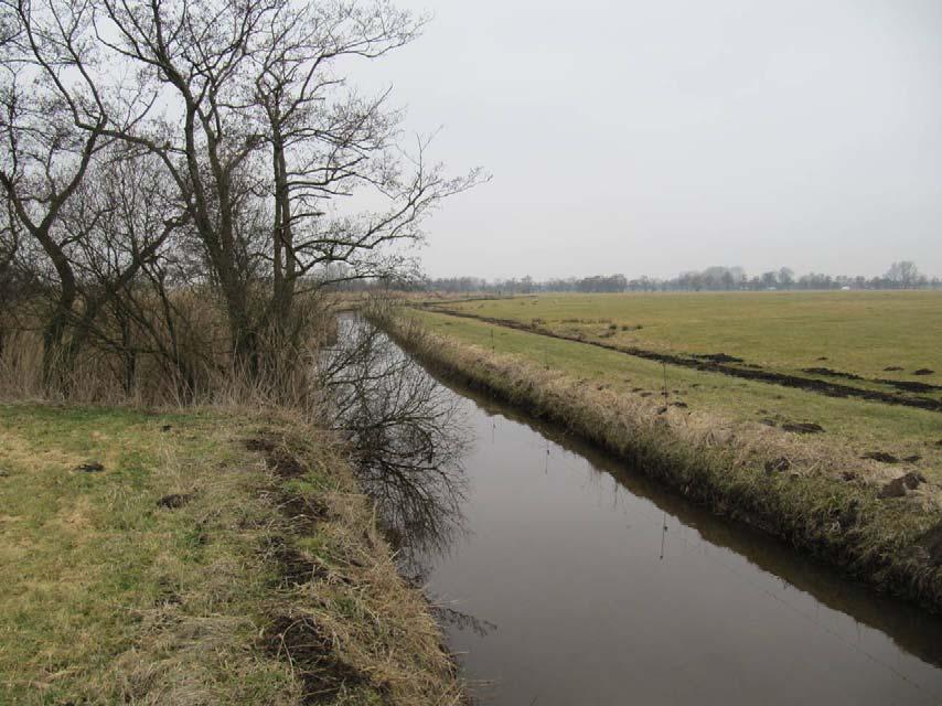 Zicht op Friese polders, ten westen van de Lauwers Scenario 3: Peilverhoging tot boezempeil (NAP -0,52 m) in polder de Kaleweg (+ onderbemaling op boezempeil) In scenario 3 is het peil in polder